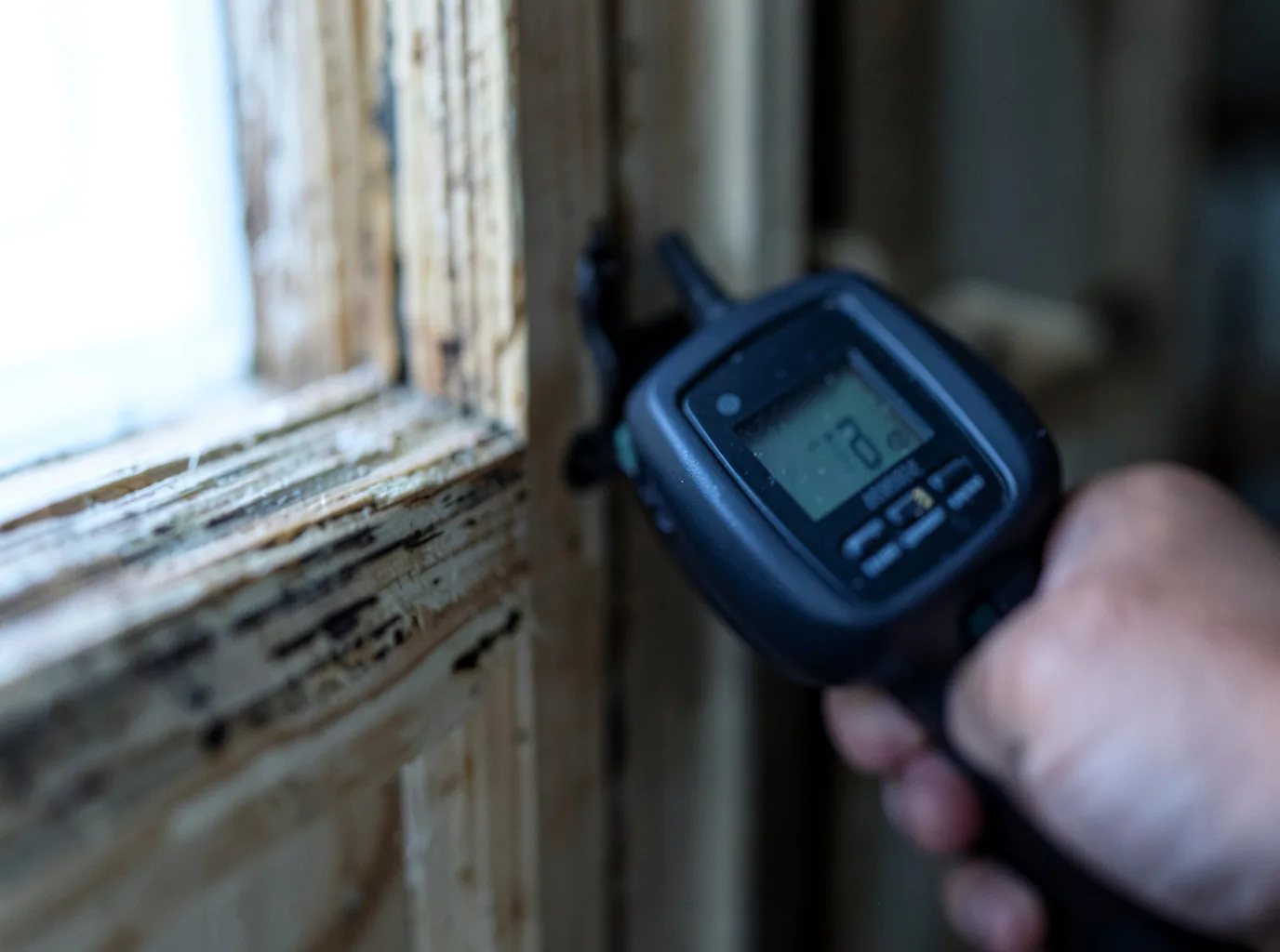 Moisture Inspection And Documentation in Duckwater, NV